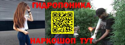 a pvp Пенза